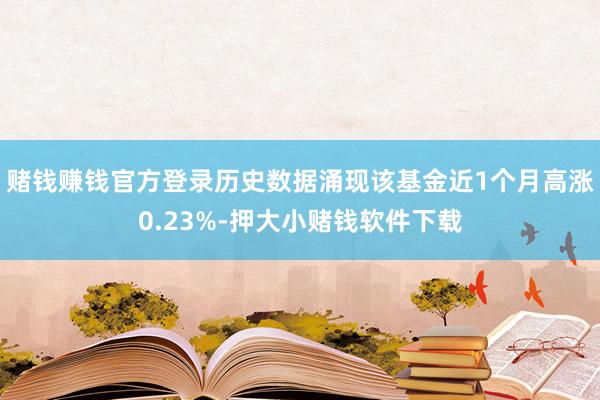赌钱赚钱官方登录历史数据涌现该基金近1个月高涨0.23%-押大小赌钱软件下载