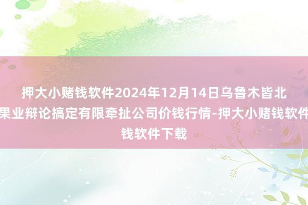 押大小赌钱软件2024年12月14日乌鲁木皆北园春果业辩论搞定有限牵扯公司价钱行情-押大小赌钱软件下载