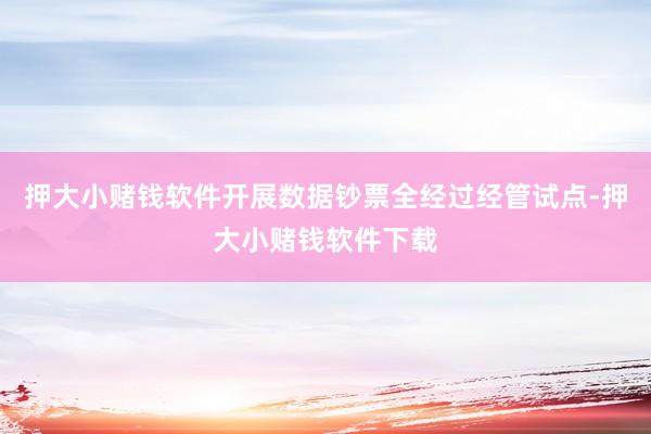 押大小赌钱软件开展数据钞票全经过经管试点-押大小赌钱软件下载