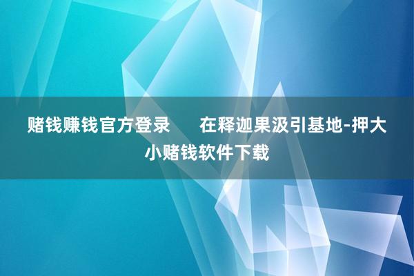 赌钱赚钱官方登录      在释迦果汲引基地-押大小赌钱软件下载