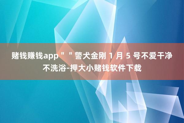 赌钱赚钱app＂＂警犬金刚 1 月 5 号不爱干净不洗浴-押大小赌钱软件下载