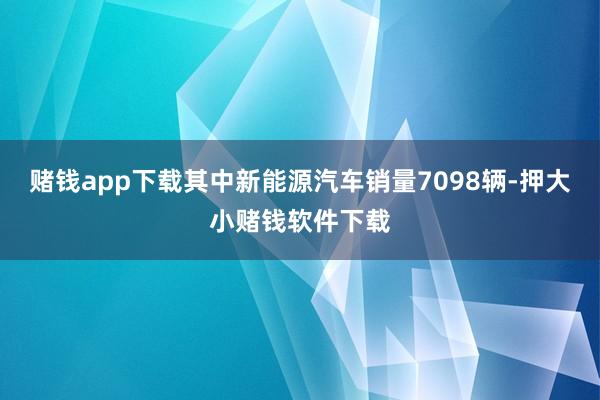 赌钱app下载其中新能源汽车销量7098辆-押大小赌钱软件下载