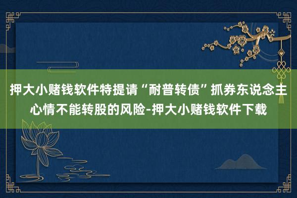 押大小赌钱软件特提请“耐普转债”抓券东说念主心情不能转股的风险-押大小赌钱软件下载