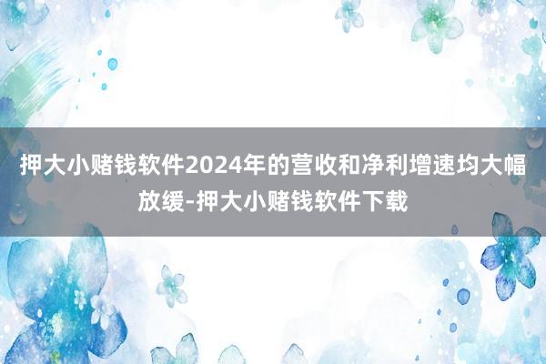 押大小赌钱软件2024年的营收和净利增速均大幅放缓-押大小赌钱软件下载