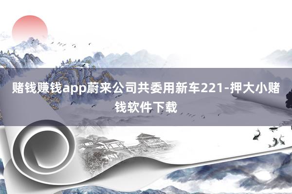 赌钱赚钱app蔚来公司共委用新车221-押大小赌钱软件下载
