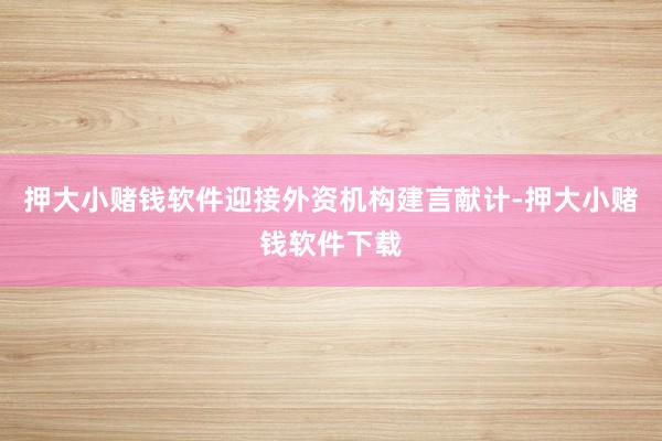 押大小赌钱软件迎接外资机构建言献计-押大小赌钱软件下载