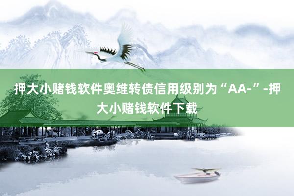 押大小赌钱软件奥维转债信用级别为“AA-”-押大小赌钱软件下载