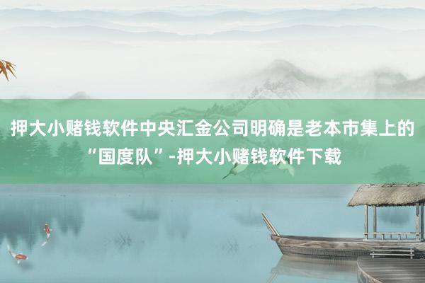 押大小赌钱软件中央汇金公司明确是老本市集上的“国度队”-押大小赌钱软件下载