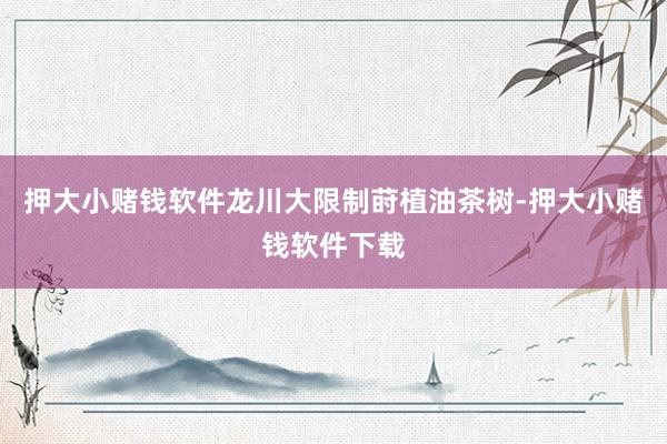押大小赌钱软件龙川大限制莳植油茶树-押大小赌钱软件下载