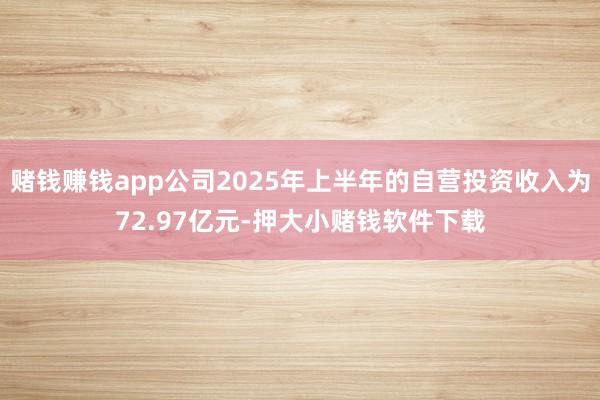 赌钱赚钱app公司2025年上半年的自营投资收入为72.97亿元-押大小赌钱软件下载