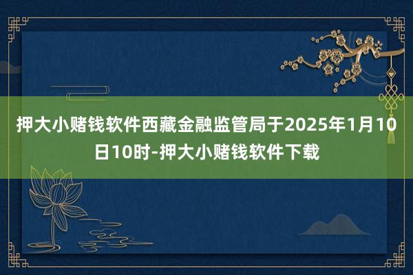 押大小赌钱软件西藏金融监管局于2025年1月10日10时-押大小赌钱软件下载
