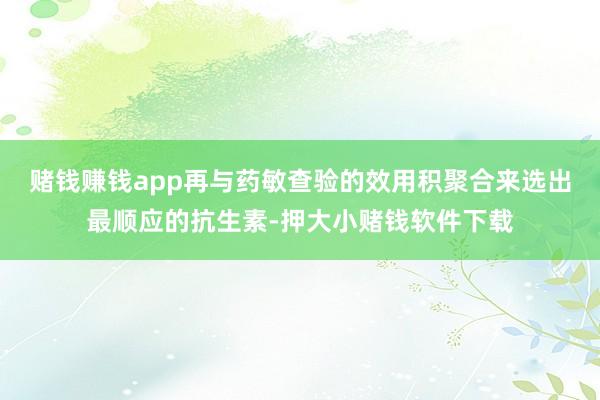 赌钱赚钱app再与药敏查验的效用积聚合来选出最顺应的抗生素-押大小赌钱软件下载