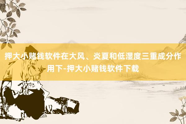 押大小赌钱软件在大风、炎夏和低湿度三重成分作用下-押大小赌钱软件下载
