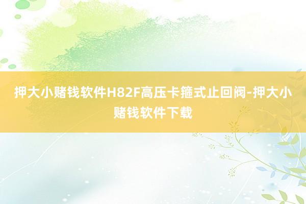 押大小赌钱软件H82F高压卡箍式止回阀-押大小赌钱软件下载