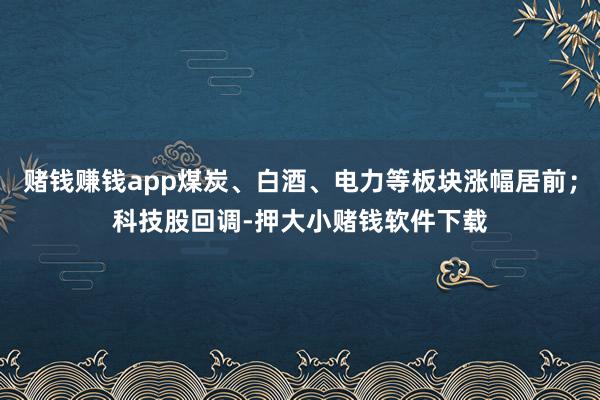 赌钱赚钱app煤炭、白酒、电力等板块涨幅居前；科技股回调-押大小赌钱软件下载