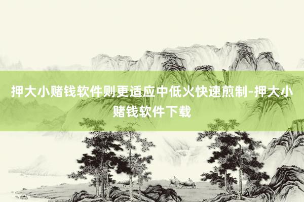押大小赌钱软件则更适应中低火快速煎制-押大小赌钱软件下载