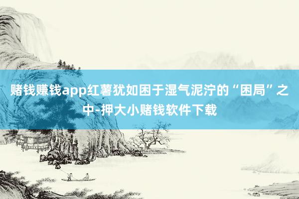 赌钱赚钱app红薯犹如困于湿气泥泞的“困局”之中-押大小赌钱软件下载