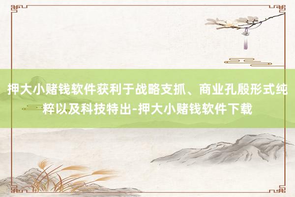 押大小赌钱软件获利于战略支抓、商业孔殷形式纯粹以及科技特出-押大小赌钱软件下载
